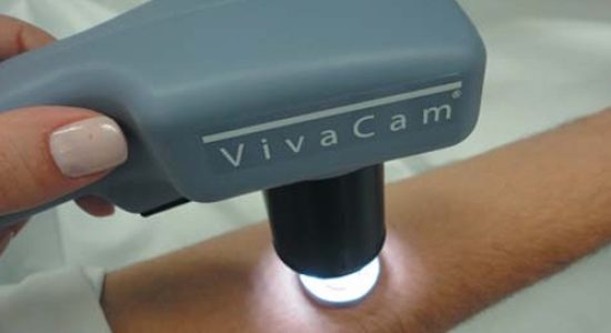 Captura de tela_23-12-2024_11491_www.redalyc.org